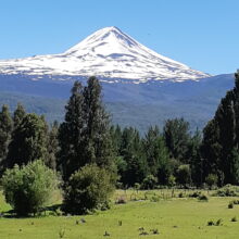 VOLCÁN_LLAIMA_HUALLERUPE